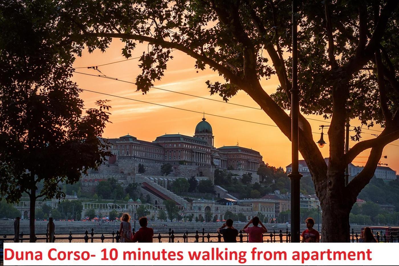 Chain Bridge Apartment Budapest Exteriör bild